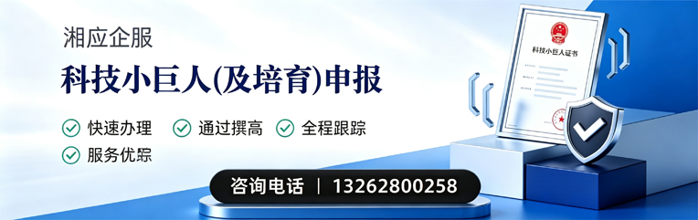开封科技小巨人及培育企业申报服务