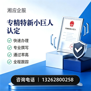 开封专精特新小巨人申报服务