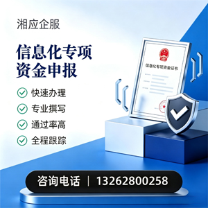 开封信息化专项资金申报服务