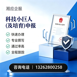 开封科技小巨人及培育企业申报服务