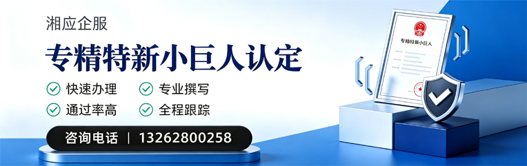 开封专精特新小巨人申报服务